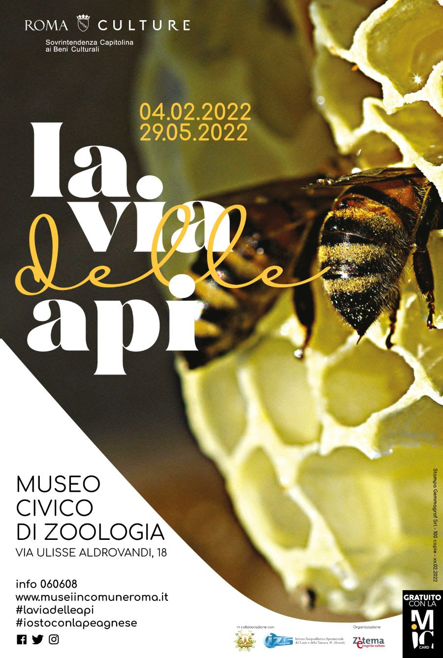 Api Roma La via delle Api | Museo di Zoologia - CAF UIL di Roma e Lazio